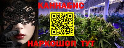 a pvp Новодвинск