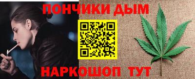 сатива Новозыбков